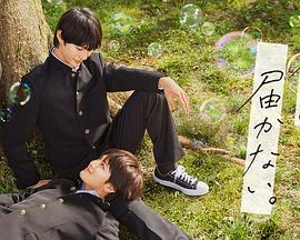 永久在线毛片视频免费观看海报剧照